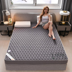 Wormwood Memory Foam Upholstery Mattress