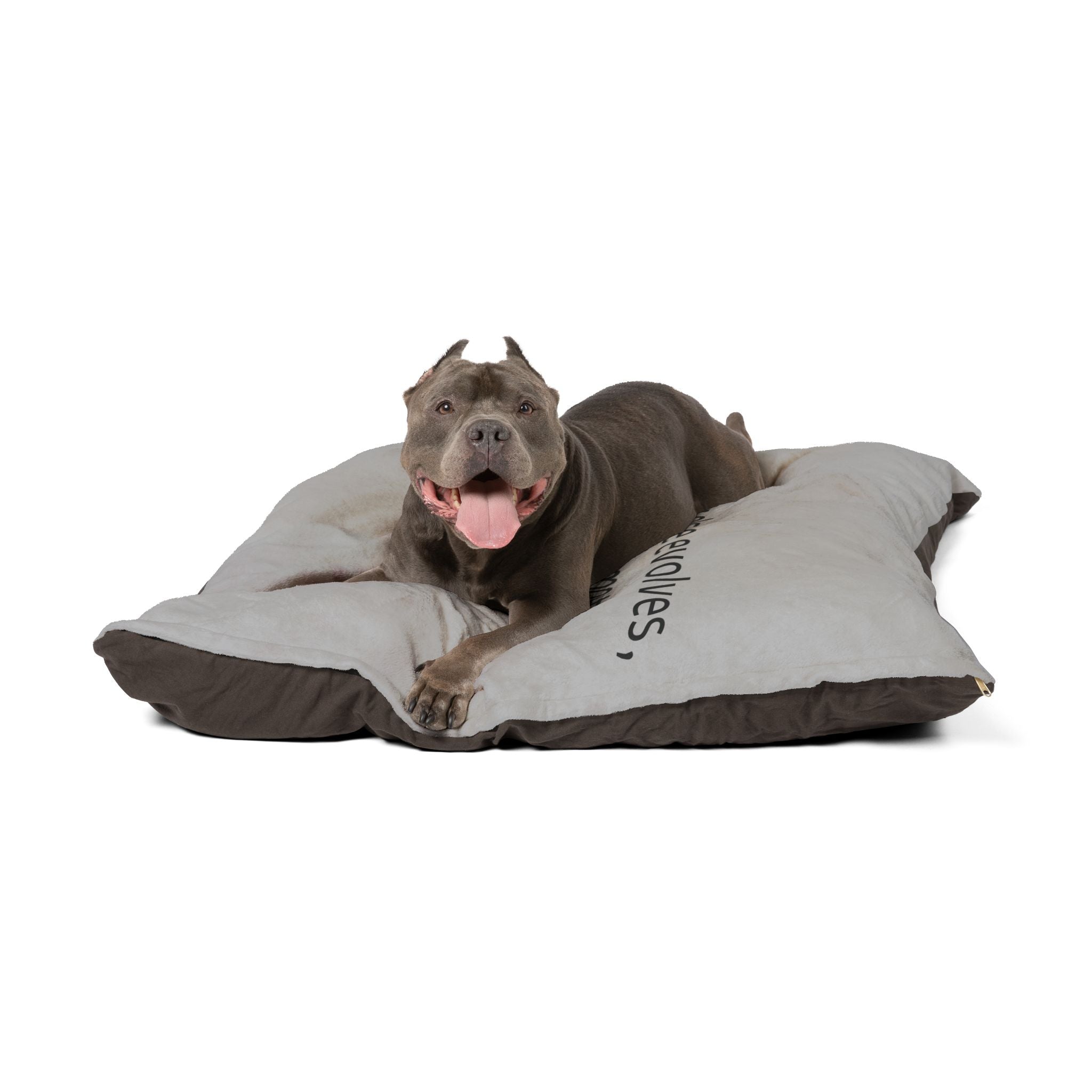 Paw-fect Nest: Custom Comfort Bed for Your Loyal Companion