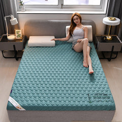 Wormwood Memory Foam Upholstery Mattress