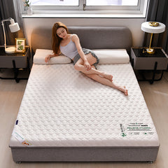 Wormwood Memory Foam Upholstery Mattress